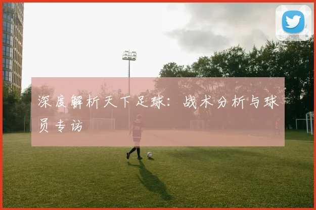 深度解析天下足球：战术分析与球员专访