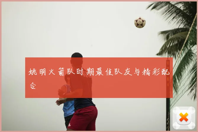 姚明火箭队时期最佳队友与精彩配合
